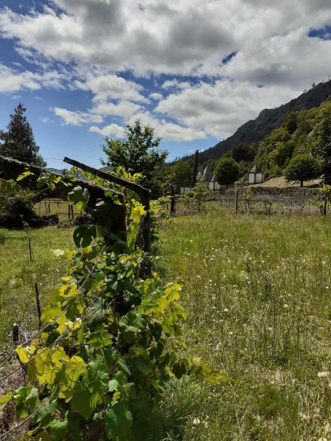 Penedino Mountain Cottage Arcos de Valdevez Buitenkant foto